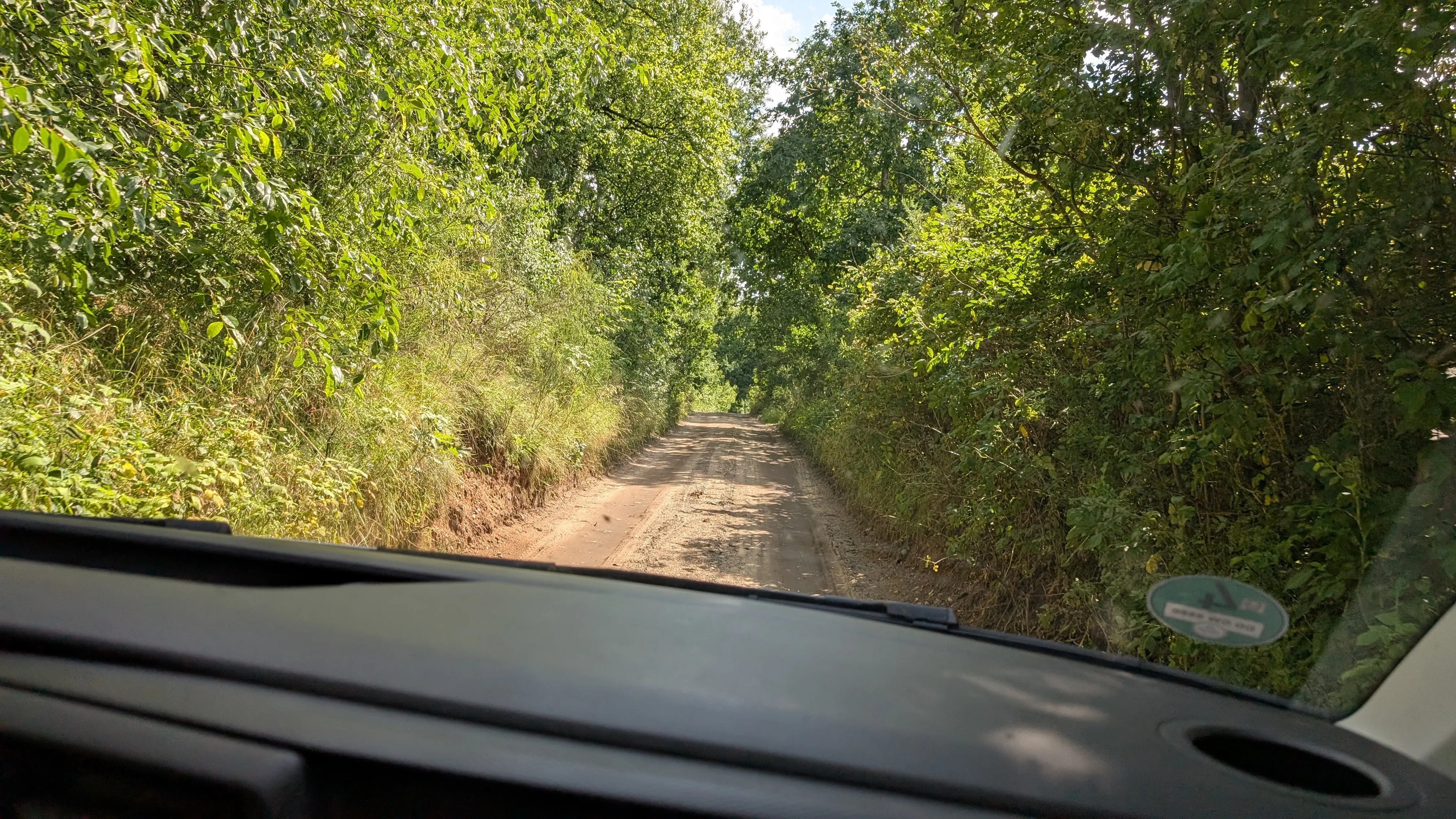 Photo out of the front of a van taken from a passenger seat.
We can see the dirt road leading away from bornhack.
The sun is shining.
The roadsides are filled with bright green bushes and trees.