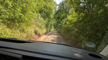 Photo out of the front of a van taken from a passenger seat.
We can see the dirt road leading away from bornhack.
The sun is shining.
The roadsides are filled with bright green bushes and trees.