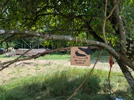 A notoriously noted sign is attached
to the branch of a small tree that covers most of the photos foreground.
The sign is a remix of the Gadsden flag where we can see a foot about to step on a slug.
The sign is labeled 'no step on schneck'.
In the background we can see several logs and drainage pipes piled up.
Some power cable slithers its way from the foreground to the back.