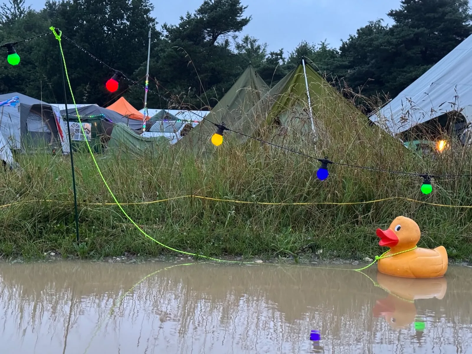 A closeup of a rubber duck in a big puddle.
Using this frog-like perspective the duck appears quite big against the tents in the background.